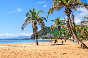 En esta imagen se aprecian palmeras tropicales y arena fina y dorada.